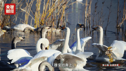 1506045650136105.gif 7.gif