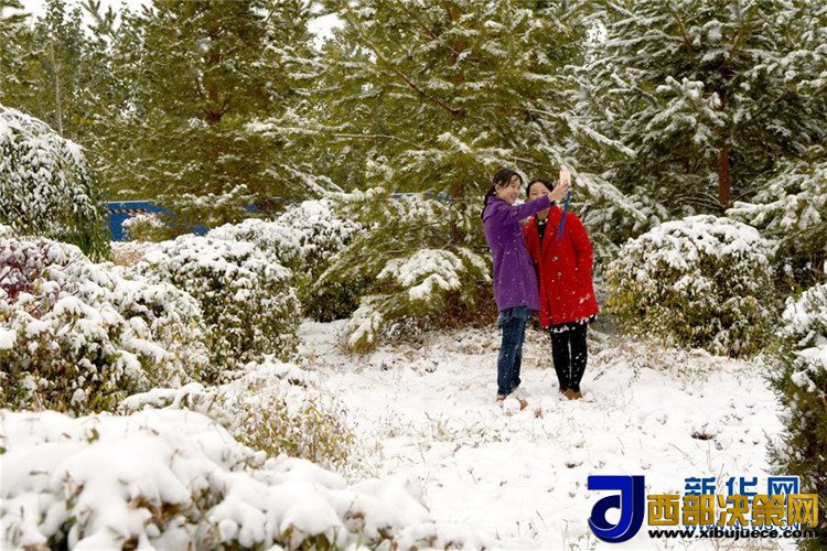 1507600819127494.jpg 3.jpg