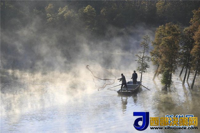 1509411367321705.jpg 3.jpg