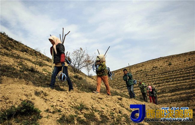 1509499072773195.jpg 1509499072773195.jpg