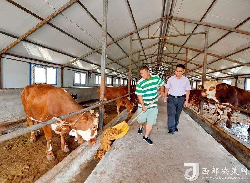 點(diǎn)擊進(jìn)入下一頁