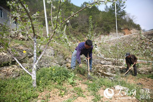 點(diǎn)擊進(jìn)入下一頁