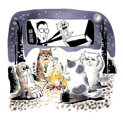 ▲物理學(xué)家薛定諤曾用一只貓比喻量子疊加。圖片來源：視覺中國(guó)